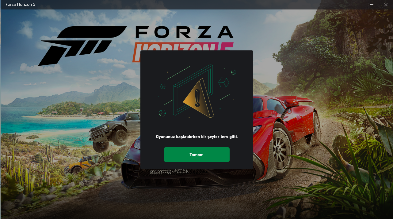 Çözüldü: Forza Horizon 5 "Bir şeyler ters gitti" | Technopat Sosyal