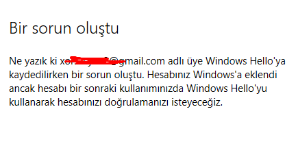 Windows Hello "sorun oluştu" hatası