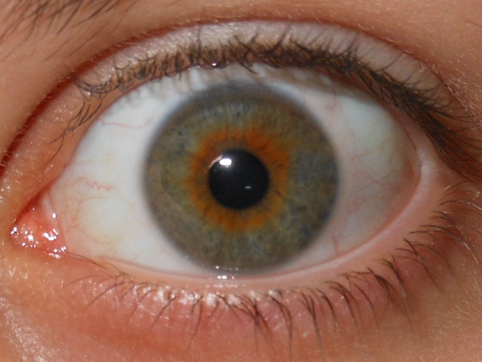 Göz rengi nasıl öğrenilir? | Technopat Sosyal