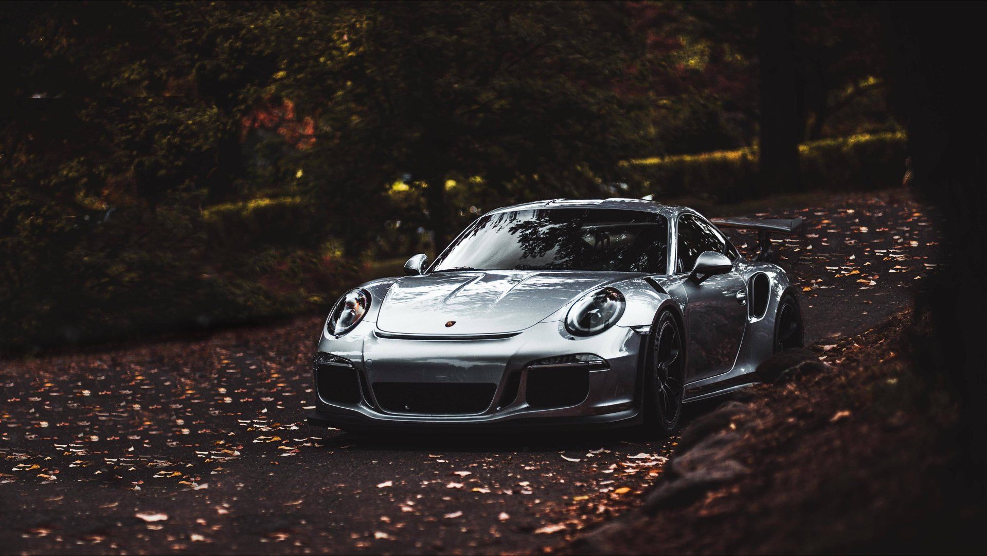 Porsche 911 Coupe.jpg