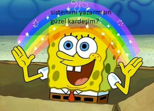 sistemini yazarmısın güzel kardeşim.jpg