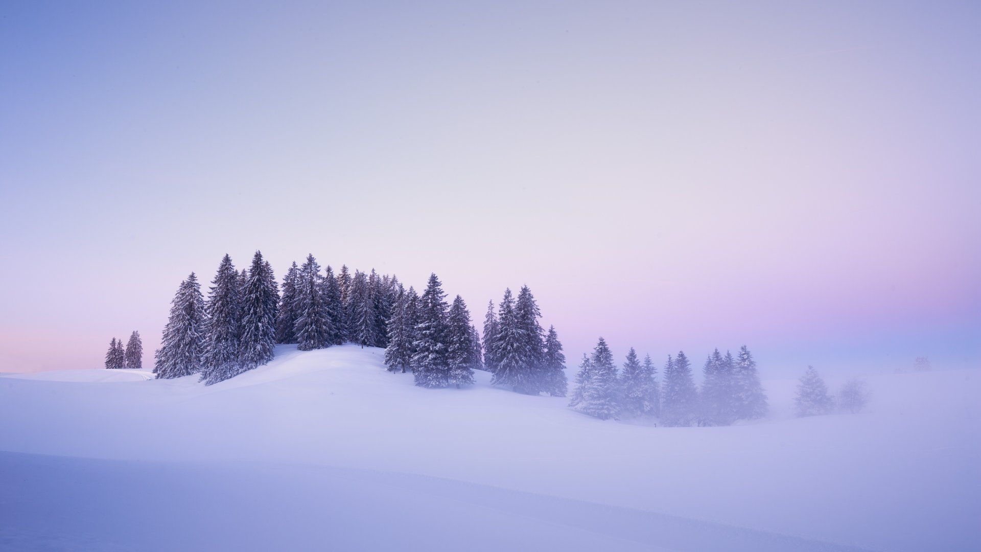 winter-snow-covered-foggy-trees-landscape-blue-hour-3840x2160-7147.jpg
